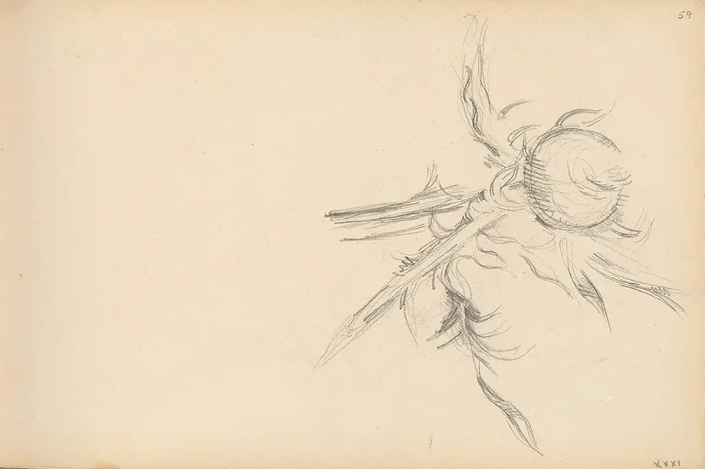 Thistle in Detail Paul Cezanne